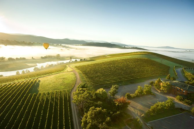 Yarra Valley Wine Day Tour - The 10-hour rhythm from 8:30am, and why it matters