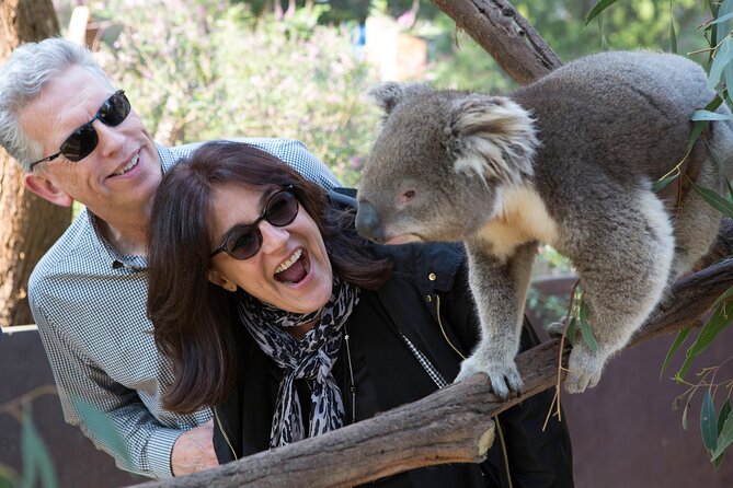 Yarra Valley Wine & Wildlife - Private Regional Tour - Price and value: why this private day costs what it costs