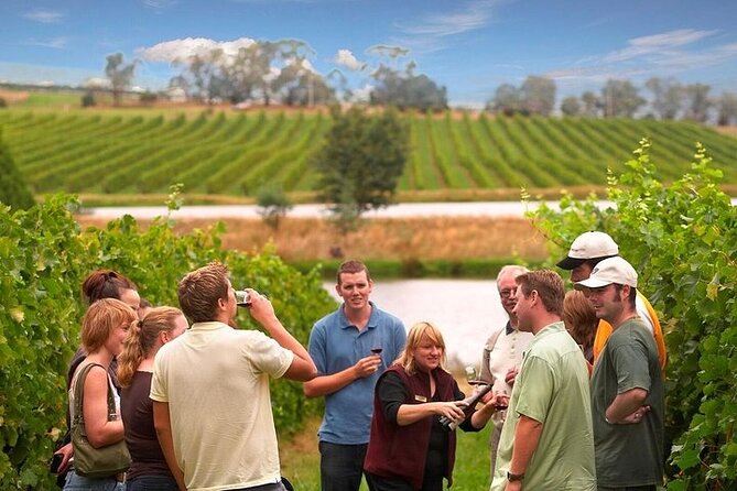 Yarra Valley Wine & Winery Tour from Melbourne - All Inclusive! - The big picture: all-inclusive Yarra Valley wine day, no car needed