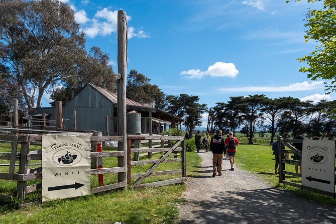 Yarra Valley Wine & Winery Tour from Melbourne - All Inclusive! - Stop 1, Greenstone Vineyards: views first, tastings after