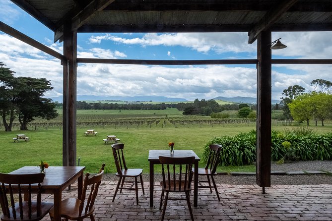 Yarra Valley Wine & Winery Tour from Melbourne - All Inclusive! - Group vibe and comfort: what it feels like on the bus