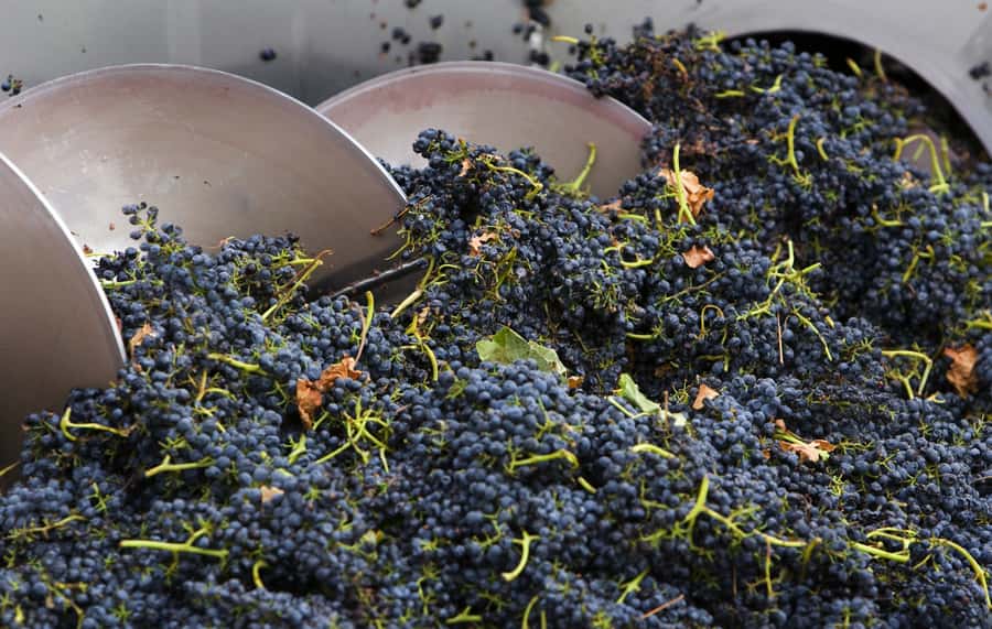 Yarra Valley: Winery Tour with Lunch at Yering Station - Key Highlights That Make This Tour Worth Your Time