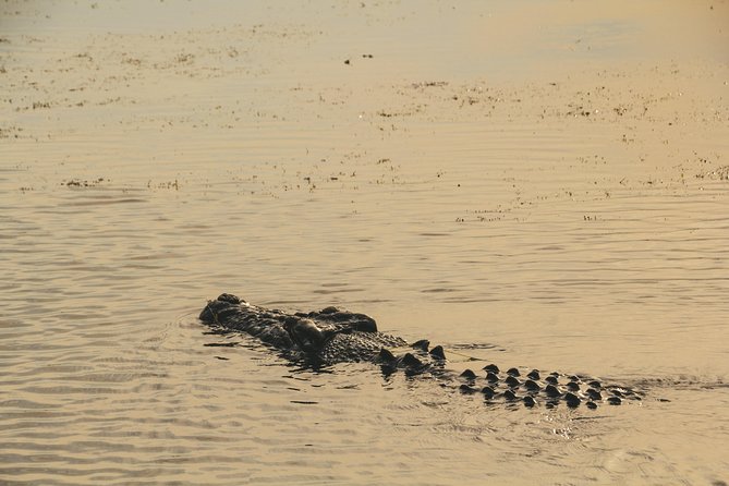 Yellow Water Cruise - Kakadu - Sunrise and sunset options: timing changes the whole experience