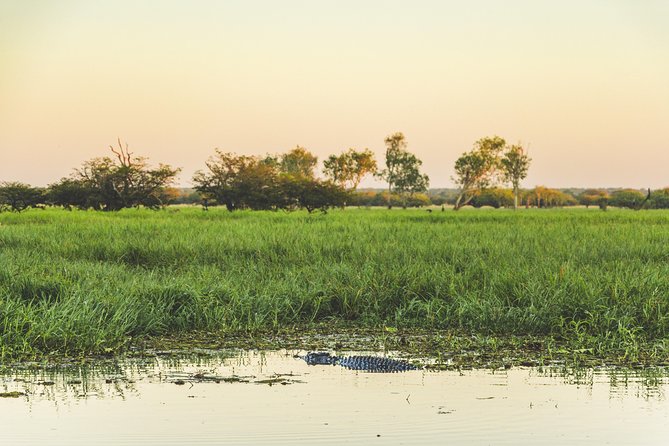 Yellow Water Cruise - Kakadu - Price and value at $75.31 per person, including what you get
