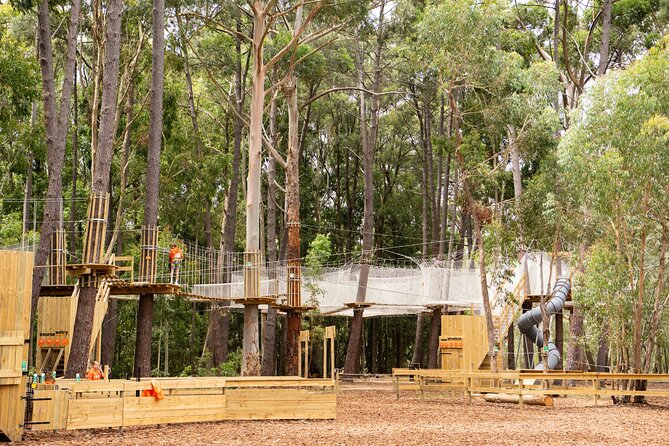Zipline over the Heysen Trail & Through the Pines of Kuitpo - Safety, Harnessing, and the Small-Group Advantage