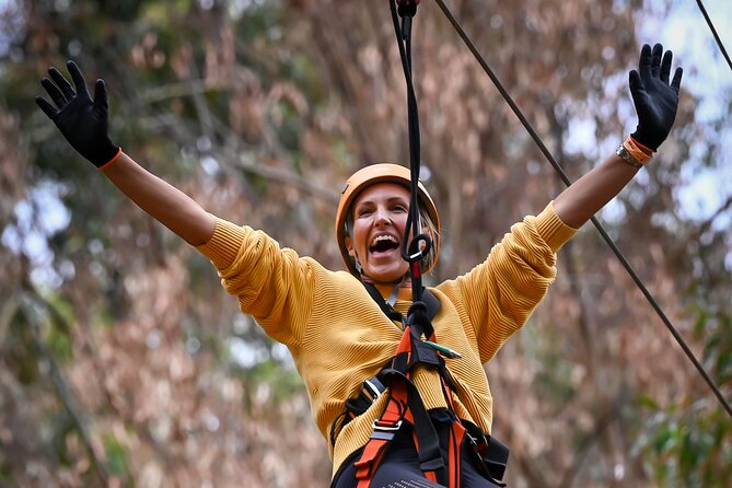 Zipline over the Heysen Trail & Through the Pines of Kuitpo - The Setting: Kuitpo Forest South of Adelaide