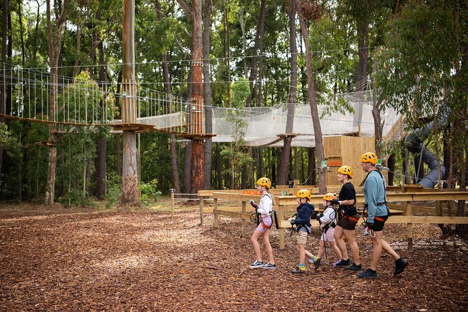 Zipline over the Heysen Trail & Through the Pines of Kuitpo - Weather, Timing, and Common Practical Friction